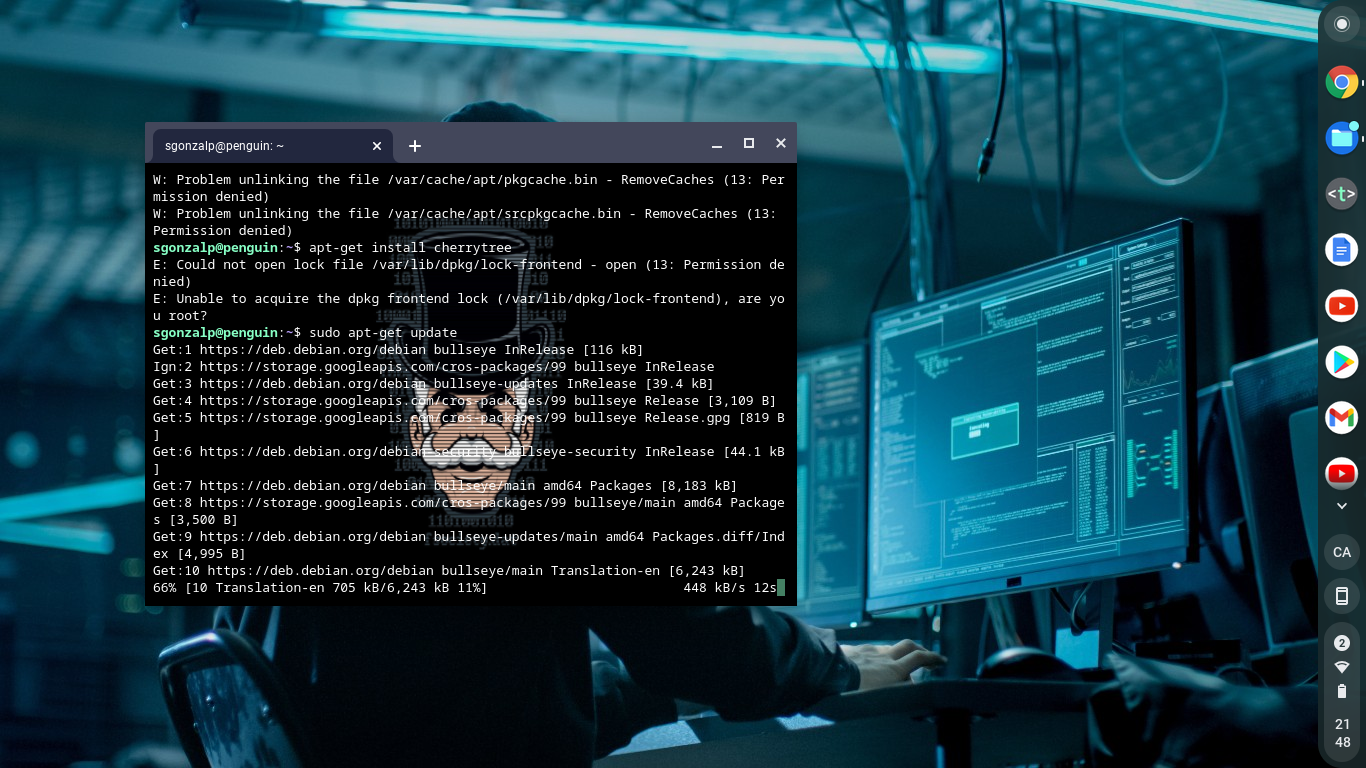 Crostini - Terminal Linux en Chromebook